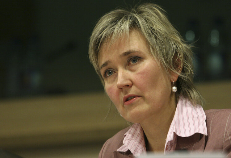 Fotografie 2: MEP Marianne MIKKO attends a meeting in Brussels