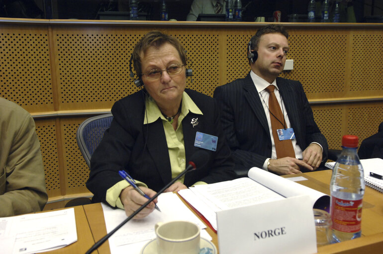 Fotografija 33: Interparliamentary meeting on the Future of Europe - EP meeting with National Parliaments