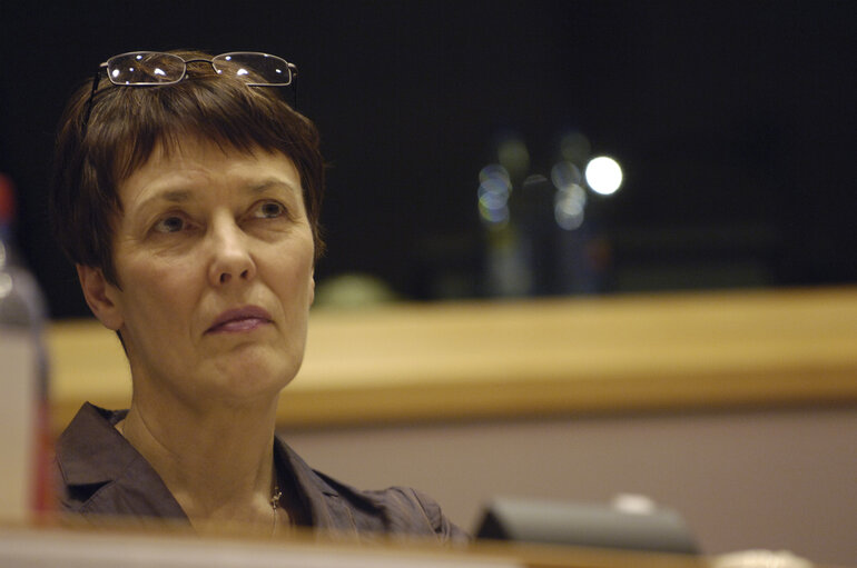 Foto 4: MEP Satu HASSI attends a meeting in Brussels