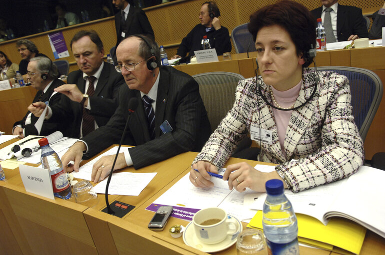 Fotografija 34: Interparliamentary meeting on the Future of Europe - EP meeting with National Parliaments