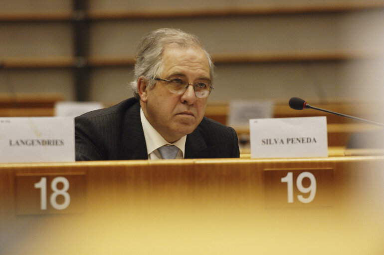 Fotografia 3: Jose Albino SILVA PENEDA in a meeting at the EP in Brussels.