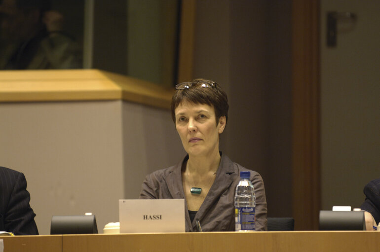 MEP Satu HASSI attends a meeting in Brussels