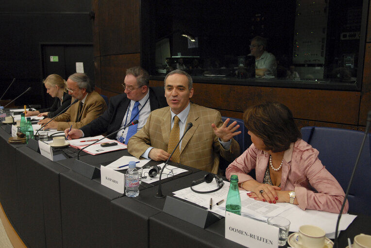 Fotografia 1: AFET - Joint meeting with the Delegation to the EU-Russia Parliamentary Cooperation Committee   - Exchange of views with the leader of the United Civil Front, Russian Federation