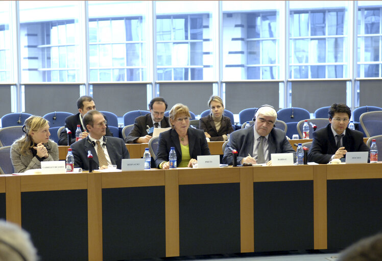 Fotografie 1: Interparliamentary meeting on the Future of Europe - EP meeting with National Parliaments