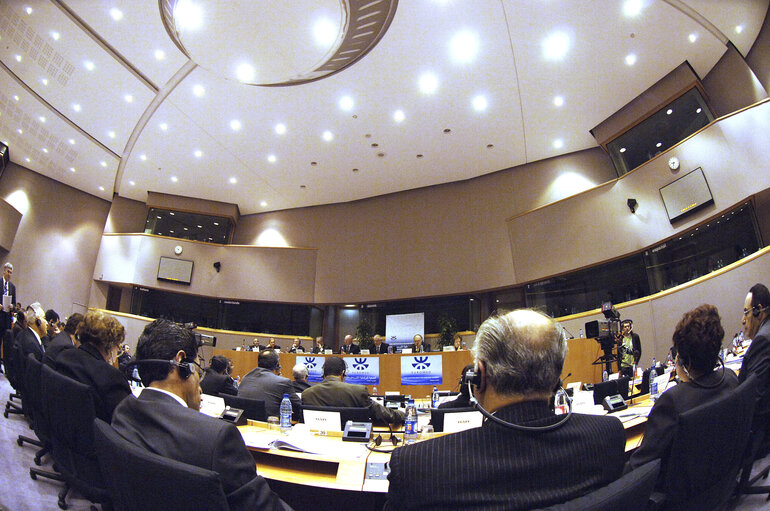 Zdjęcie 19: Plenary session of the Euro-Mediterranean Parliamentary Assembly (Euromed).