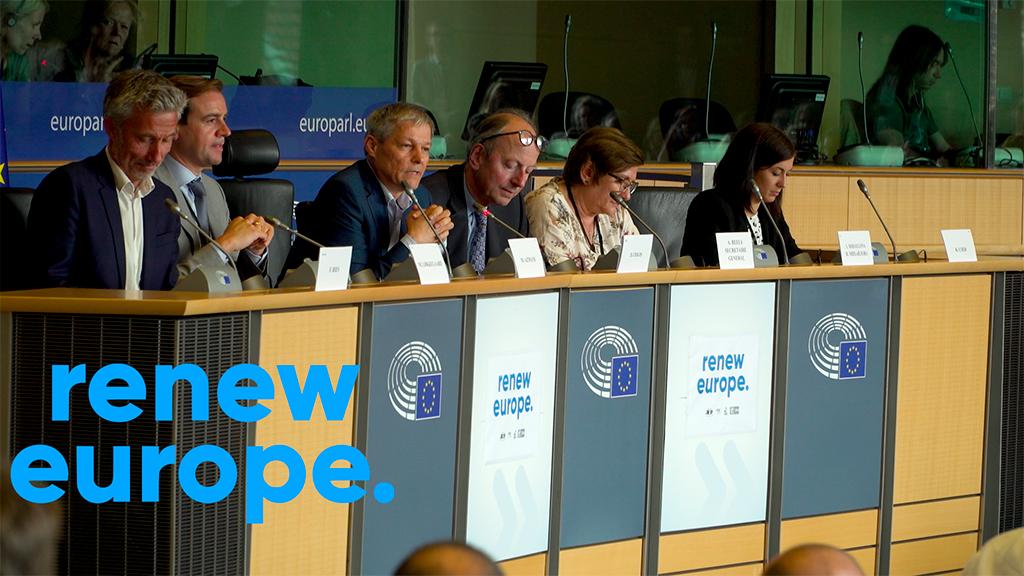 Parlementaire fracties: Renew Europe