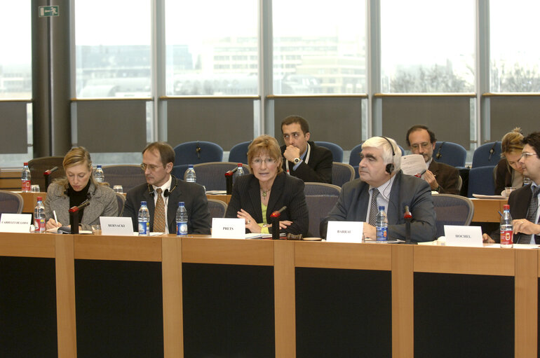 Fotografie 4: Interparliamentary meeting on the Future of Europe - EP meeting with National Parliaments