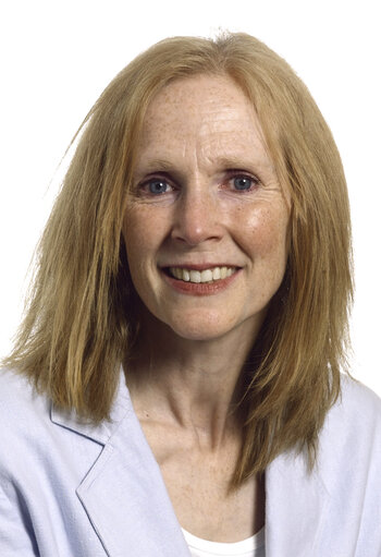 IE, IND/DEM : Independence/Democracy Group