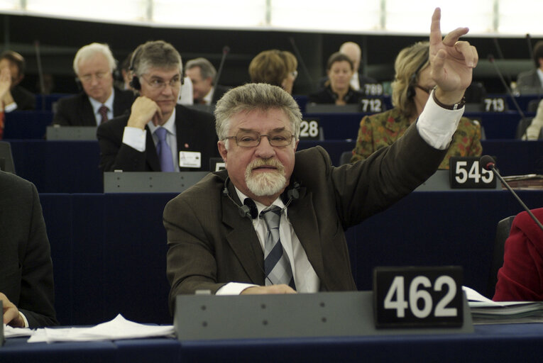 MEP Emanuel Jardim FERNANDES attends a plenary session in Strasbourg