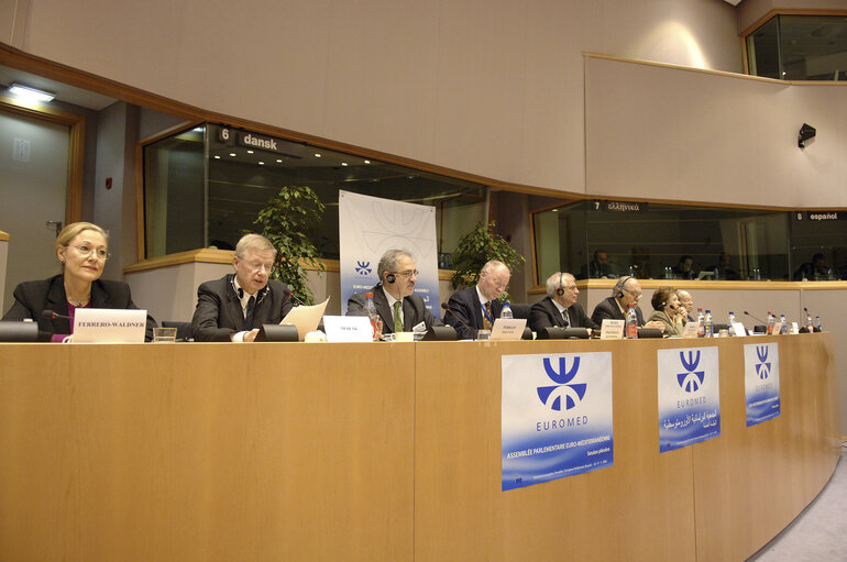 Zdjęcie 15: Plenary session of the Euro-Mediterranean Parliamentary Assembly (Euromed).