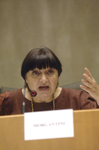 Fotografija 8: Luisa MORGANTINI in a meeting at the EP in Brussels.