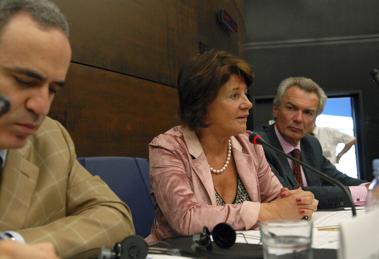 Fotografia 4: AFET - Joint meeting with the Delegation to the EU-Russia Parliamentary Cooperation Committee   - Exchange of views with the leader of the United Civil Front, Russian Federation