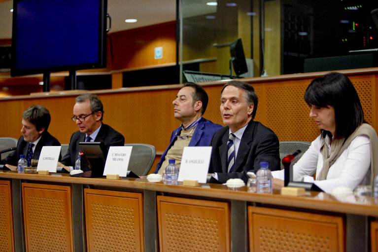 Foto 13: Italian Minister meets with MEPs from Italian delegation