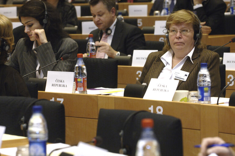 Fotografija 4: Interparliamentary meeting on the Future of Europe - EP meeting with National Parliaments