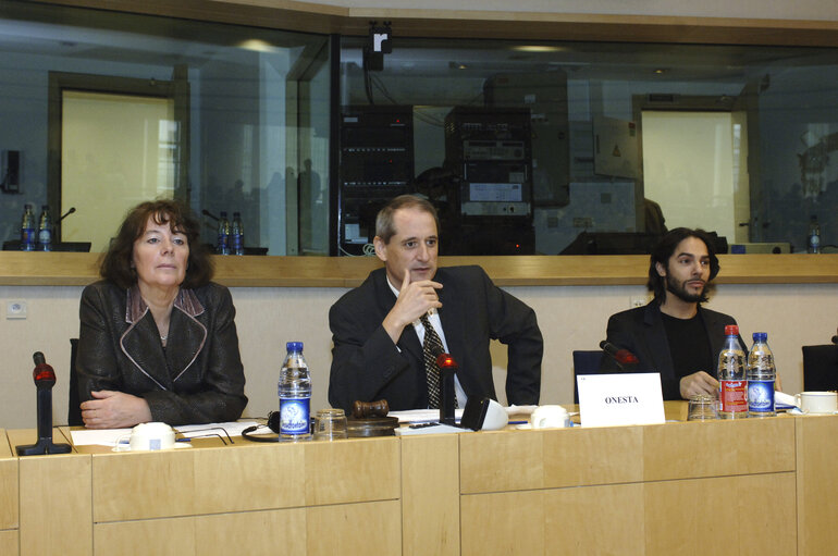 Снимка 10: Press conference on the situation of Roma people in Europe - EP President and Joaquin CORTES (Sportsman and artist)