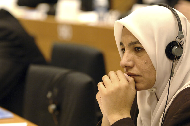 Zdjęcie 2: Plenary session of the Euro-Mediterranean Parliamentary Assembly (Euromed).