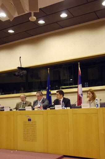 Fotografija 2: AFET committee meeting, discussion with the Minister of Foreign Affairs of the Republic of Serbia.