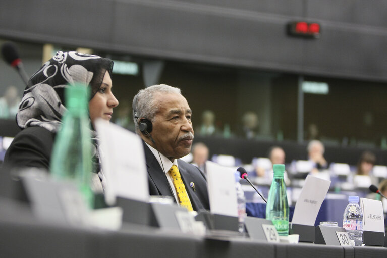 Photo 7: Sakharov Prize 2011. Arab Spring. Meetings with EPP GROUP