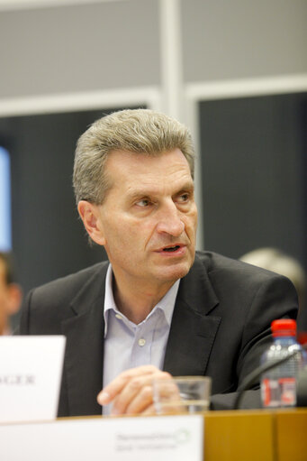 European Grid Conference