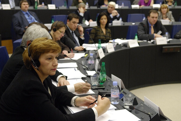 Valokuva 6: The EU-Croatia joint parliamentary Meeting