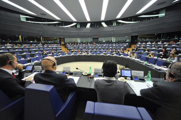 Fotografie 7: Joint meeting with the Committee on Foreign Affairs, the Committee on Development and the Subcommittee on Human Rights with Sakharov laureates