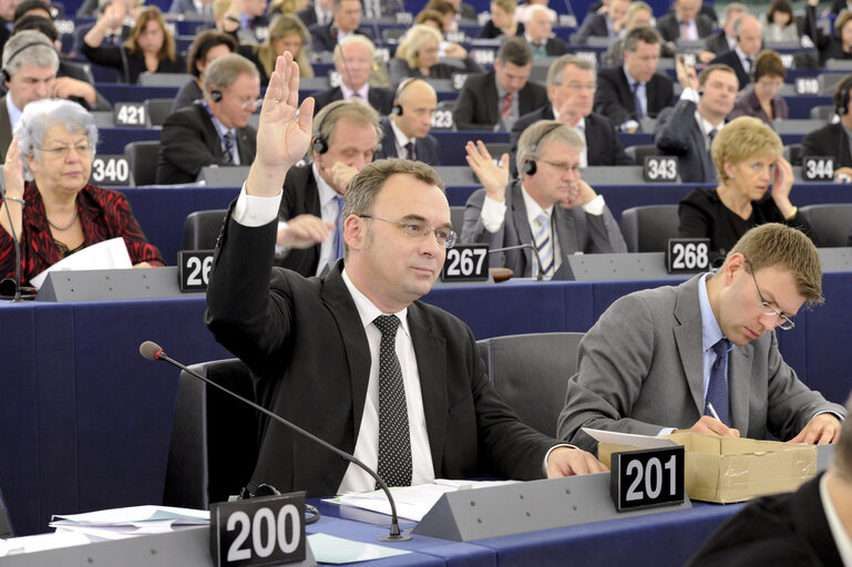 Fotagrafa 2: Filip KACZMAREK during votes at the plenary session in Strasbourg