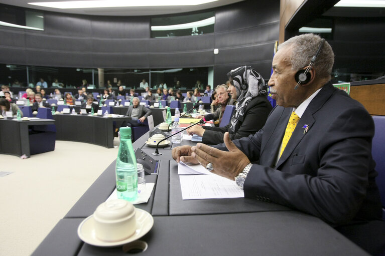 Fotografie 7: Sakharov Prize 2011. Arab Spring. Meeting with GREENS GROUP