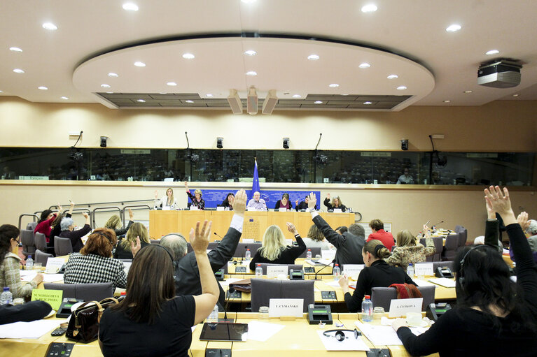 Foto 3: Debate in the FEMM Committee