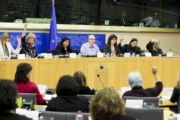 Fotografi 14: Debate in the FEMM Committee