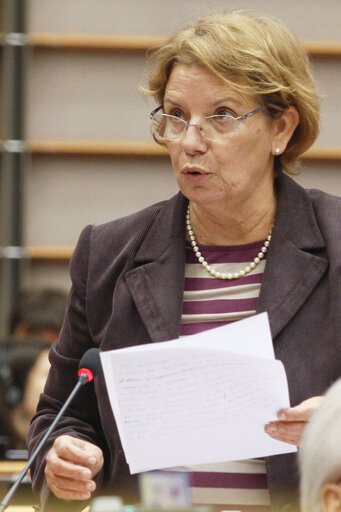 Meps in the hemicycle in Brussels, week 48 - Prepration for the European Council