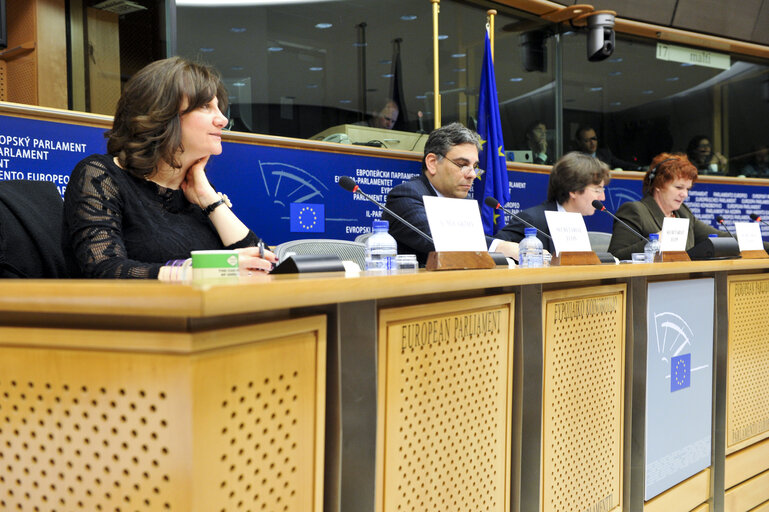 Foto 6: ECON Committee Meeting: Economic and Monetary Affairs. Annual Tax Report