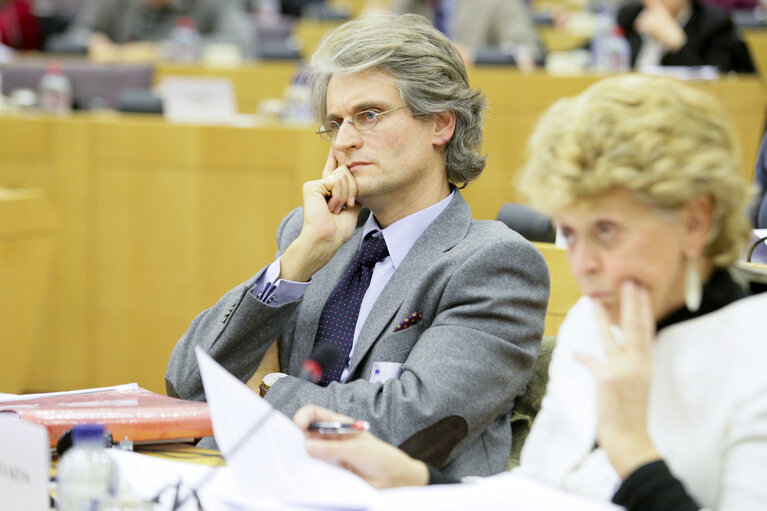 Foto 2: Hearing on  Fundamental Rights