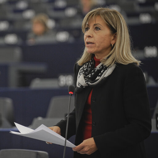 Fotografie 16: Plenary Session in Strasbourg week 46