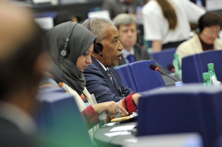 Fotografie 4: Joint meeting with the Committee on Foreign Affairs, the Committee on Development and the Subcommittee on Human Rights with Sakharov laureates