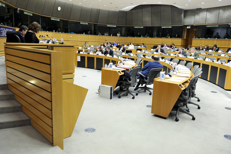 Foto 7: ECON Committee Meeting: Economic and Monetary Affairs. Annual Tax Report