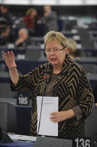 Zdjęcie 28: Plenary Session in Strasbourg week 46