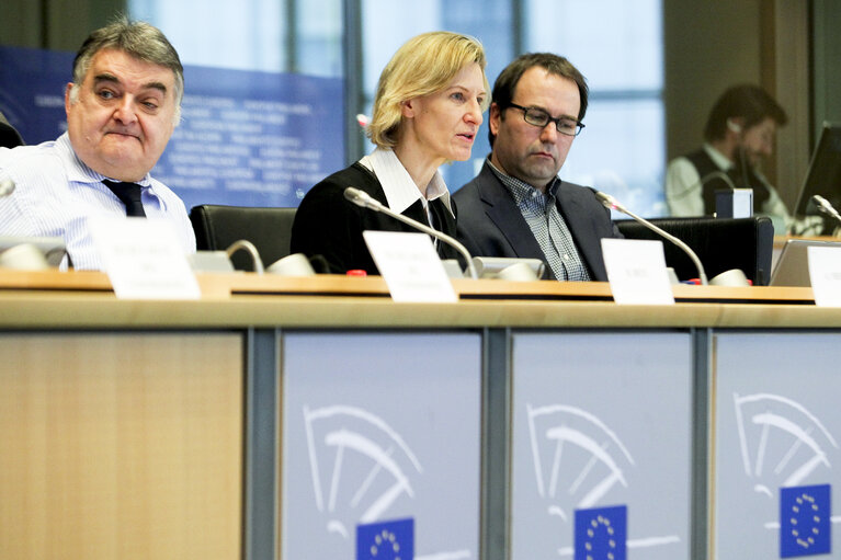 Fotografie 15: Mini-Hearing on The Recast of the Roaming Regulation