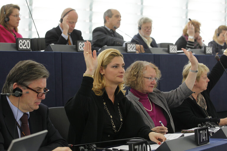 Foto 5: Ramona Nicole MANESCU in plenary in Strasbourg week 46