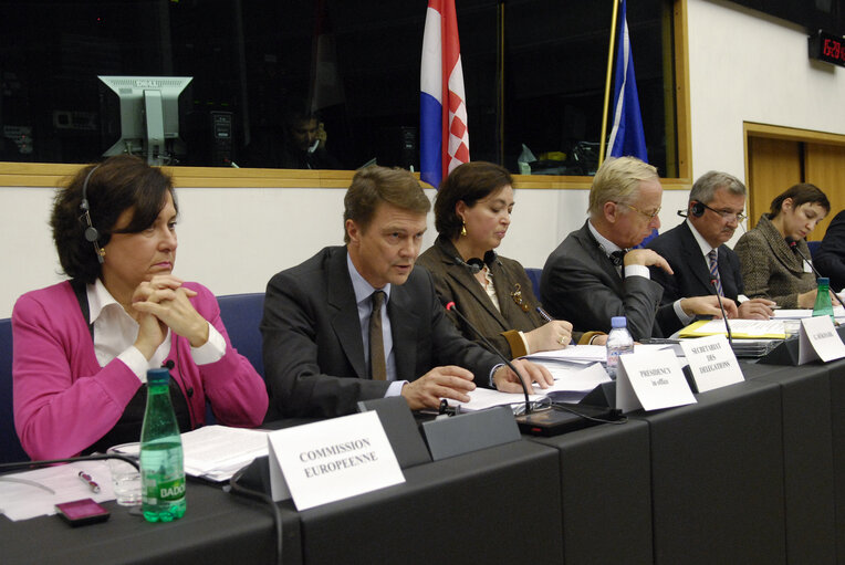 Valokuva 9: The EU-Croatia joint parliamentary Meeting