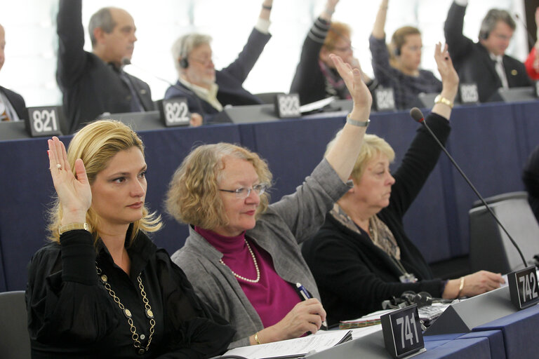 Ramona Nicole MANESCU in plenary in Strasbourg week 46