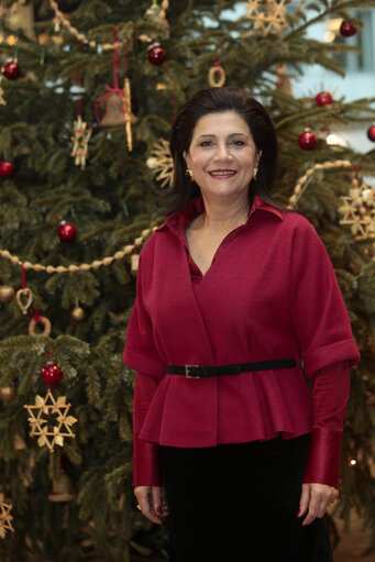 Zdjęcie 1: Portrait of MEP Rodi KRATSA-TSAGAROPOULOU in front of Christmas tree