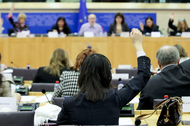 Fotografi 13: Debate in the FEMM Committee