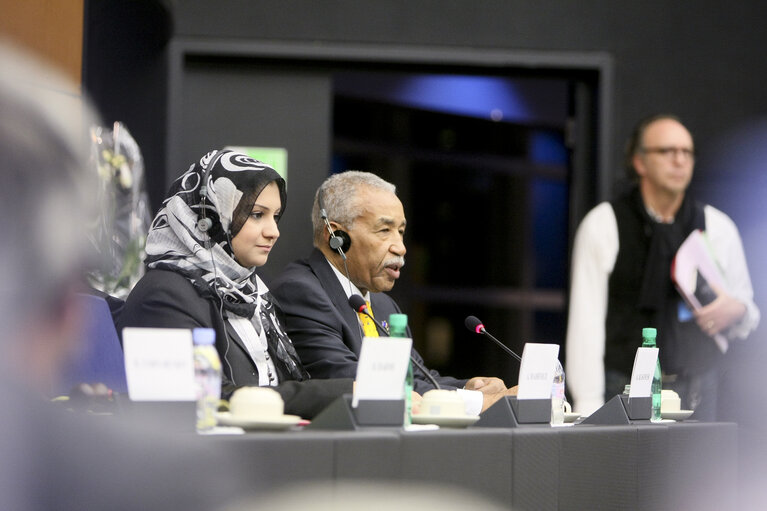 Fotografie 10: Sakharov Prize 2011. Arab Spring. Meeting with GREENS GROUP