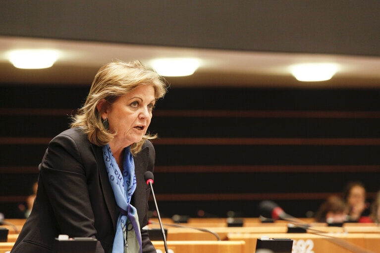 Photo 27: Meps in the hemicycle in Brussels, week 48 - Prepration for the European Council