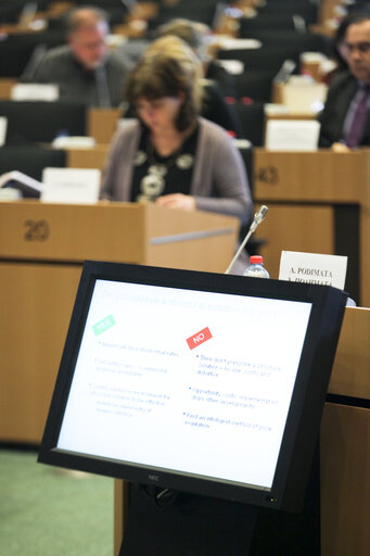 Fotografie 2: Mini-Hearing on The Recast of the Roaming Regulation