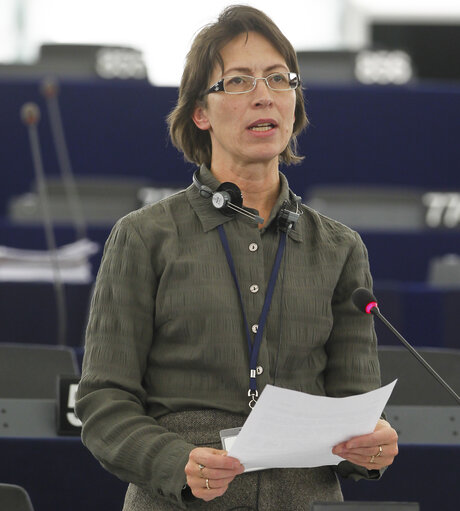 Fotografi 18: MEP in Plenary Session week 43