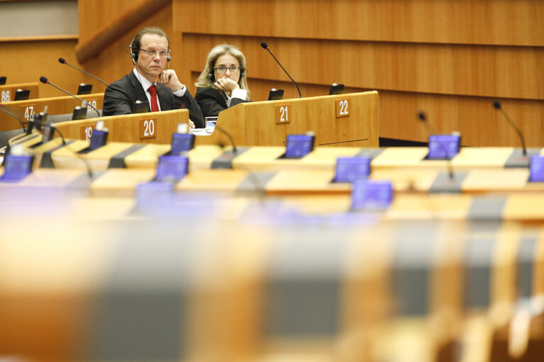 Plenary Session in Brussels  - week 41