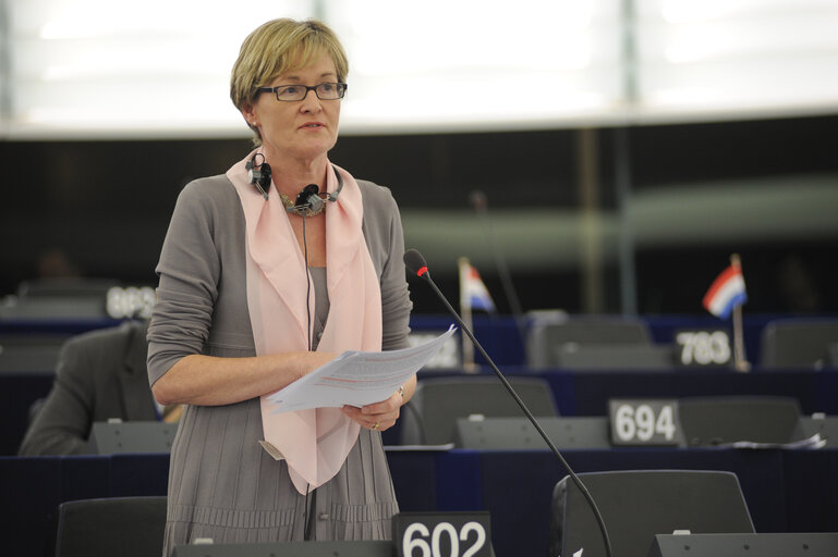 Foto 42: MEP in Plenary session in Strasbourg - week 39