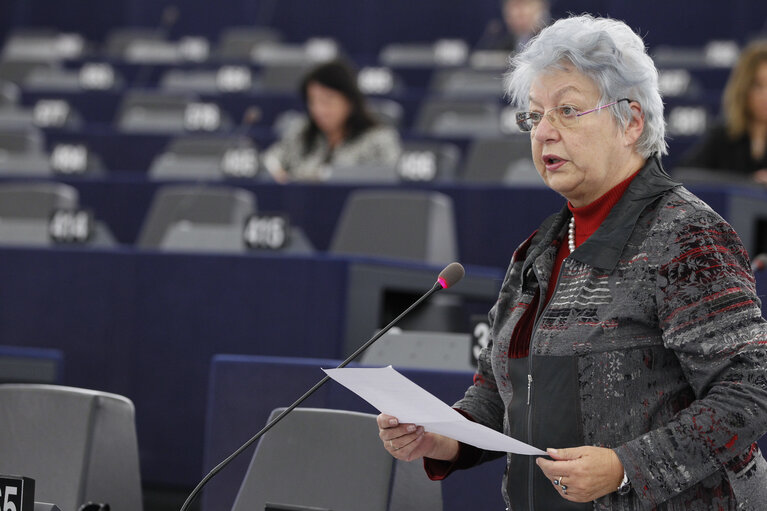 Foto 44: Plenary Session in Strasbourg - Week 43