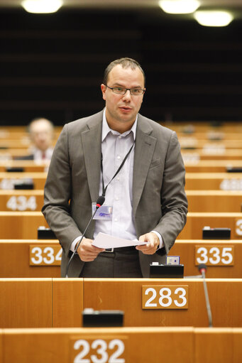 Plenary Session in Brussels  - week 41